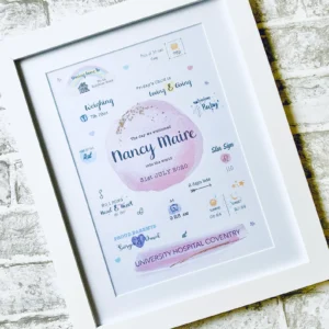The Day You Were Born Birth Stats Print – Personalised New Baby Gift
