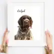 Personalised watercolor pet portrait of a dog with the name Ralph.