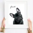 Personalised watercolor pet portrait of a French Bulldog named Frank.