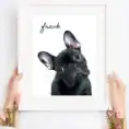 Personalised watercolor pet portrait of a French Bulldog named Frank.