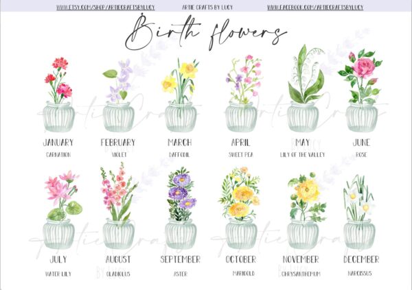 Watercolor birth flowers for each month in decorative vases.