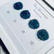Star sign constellation print for family wall art by Artiecrafts Lucy.